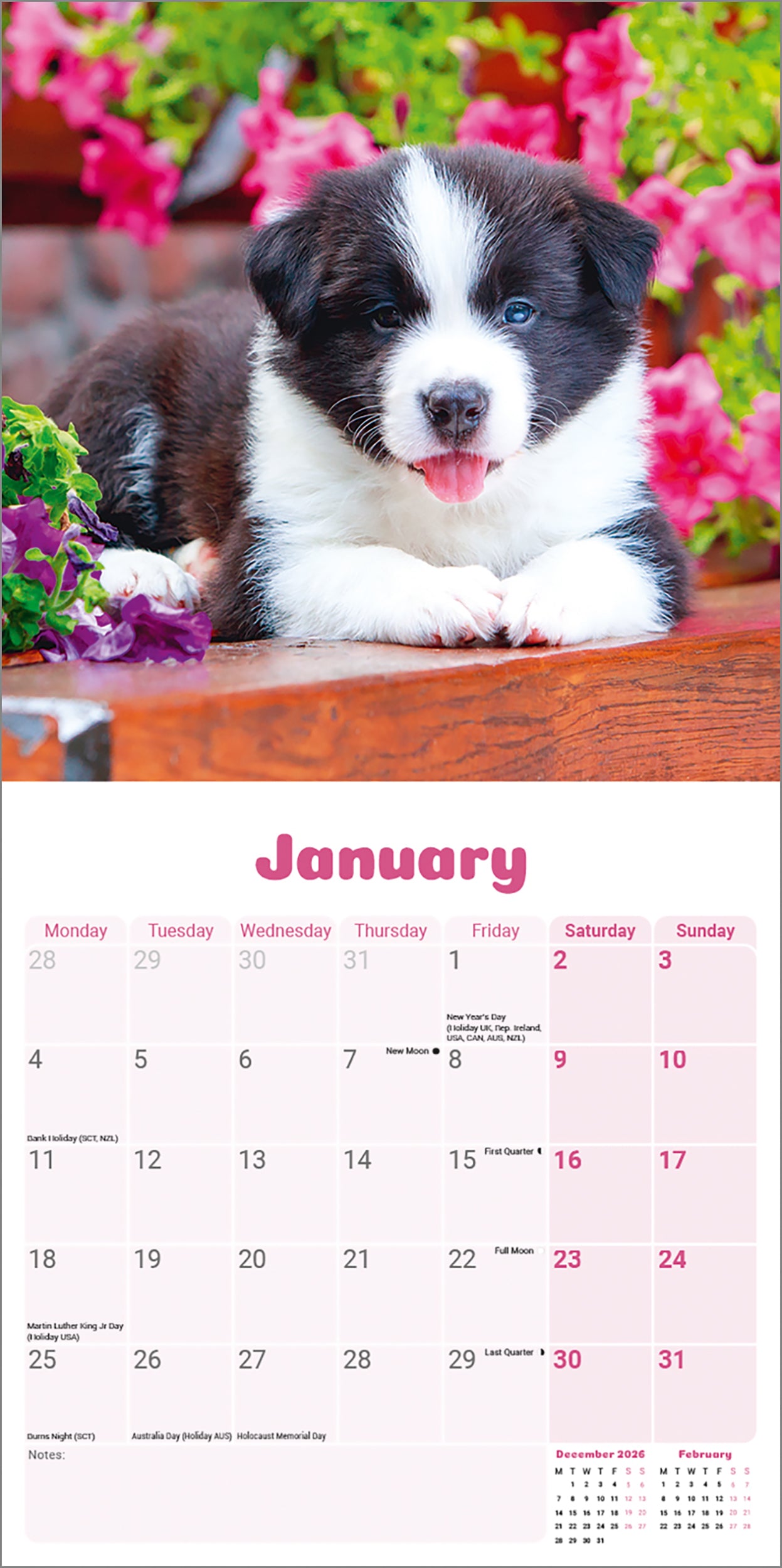 otter-house-border-collie-puppies-mini-kalender-2027 image 3