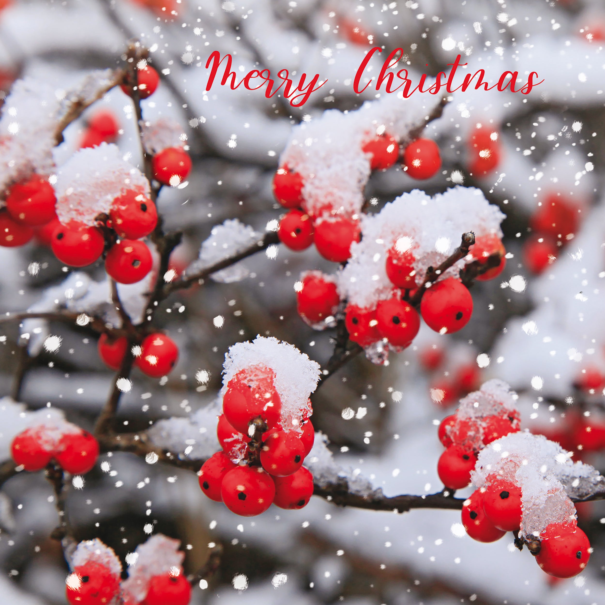 otter-house-christmas-falling-snow-weihnachtskarten-set-schnee image 2