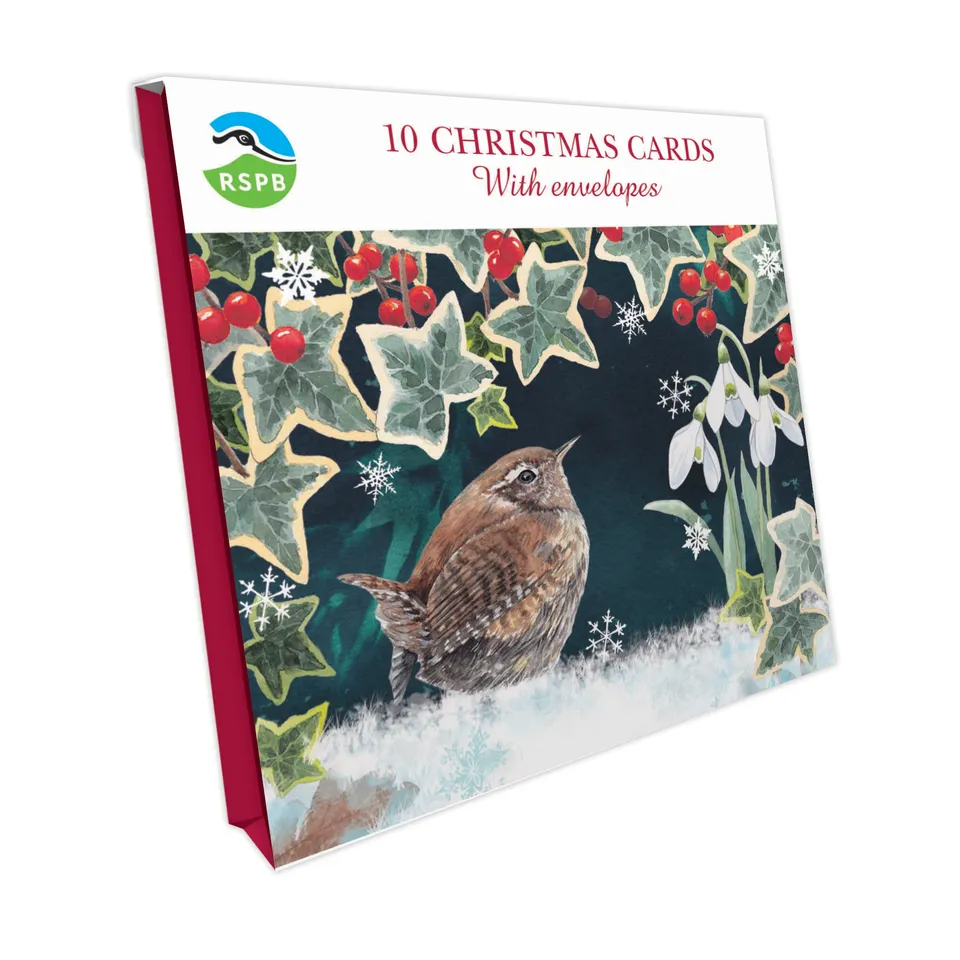 otter-house-wren-ivy-weihnachtskarten-10er-pack-quadratisch image 1
