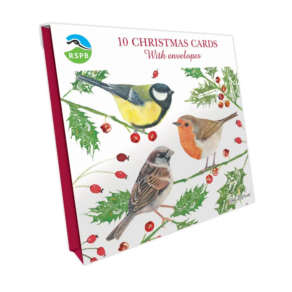 otter-house-rspb-weihnachtskarten-v-gel-10er-pack image 1