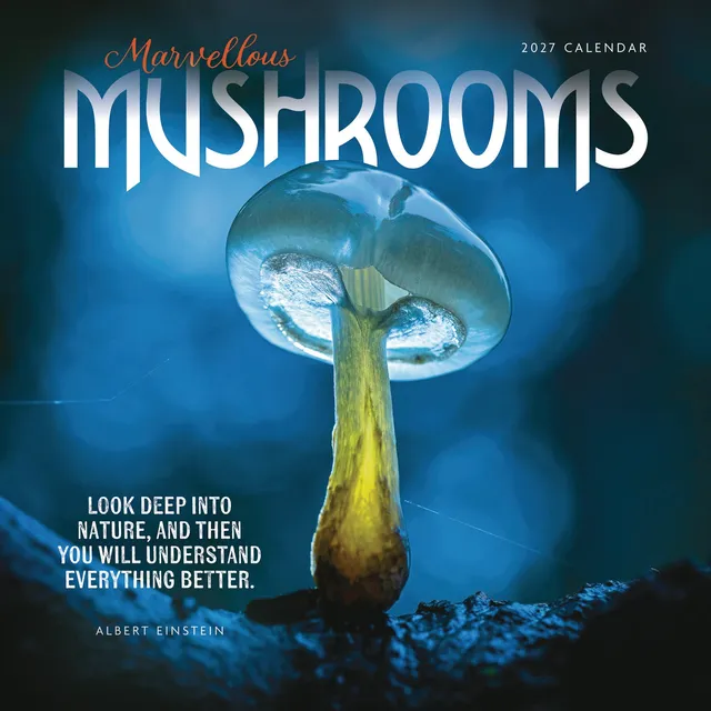otter-house-marvellous-mushrooms-wandkalender-2027-pilze image 1