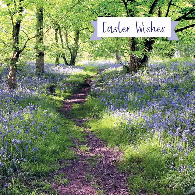 otter-house-easter-bluebells-osterkarten-5er-pack-nachhaltig image 1
