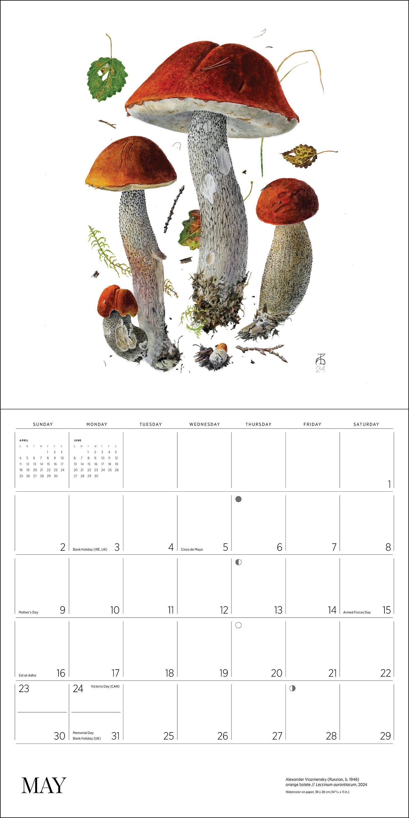 pomegranate-mushrooms-alexander-viazmensky-2027-wandkalender image 6