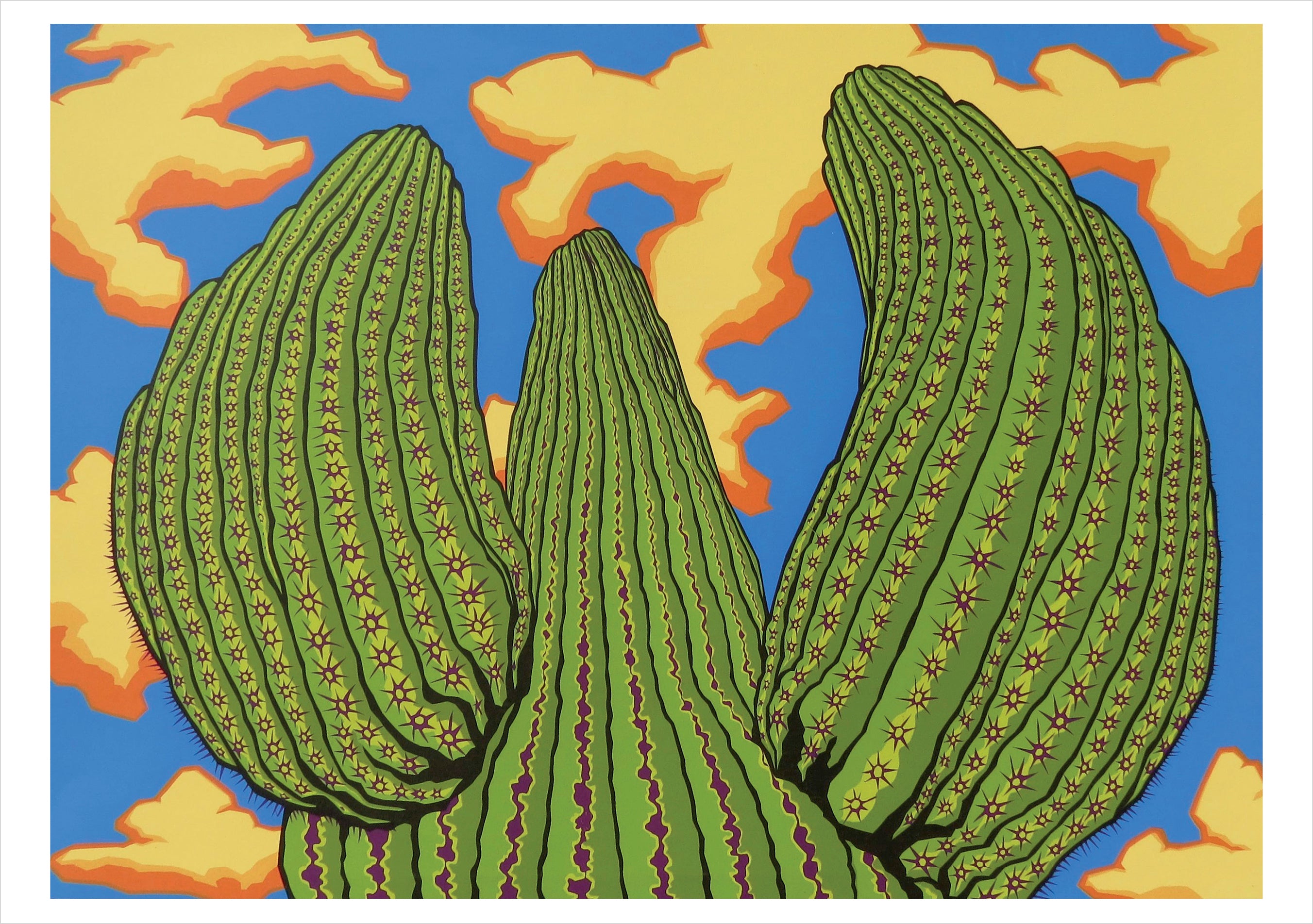 pomegranate-blank-notecards-saguaro-dreamin-klappkarte-einzeln image 1
