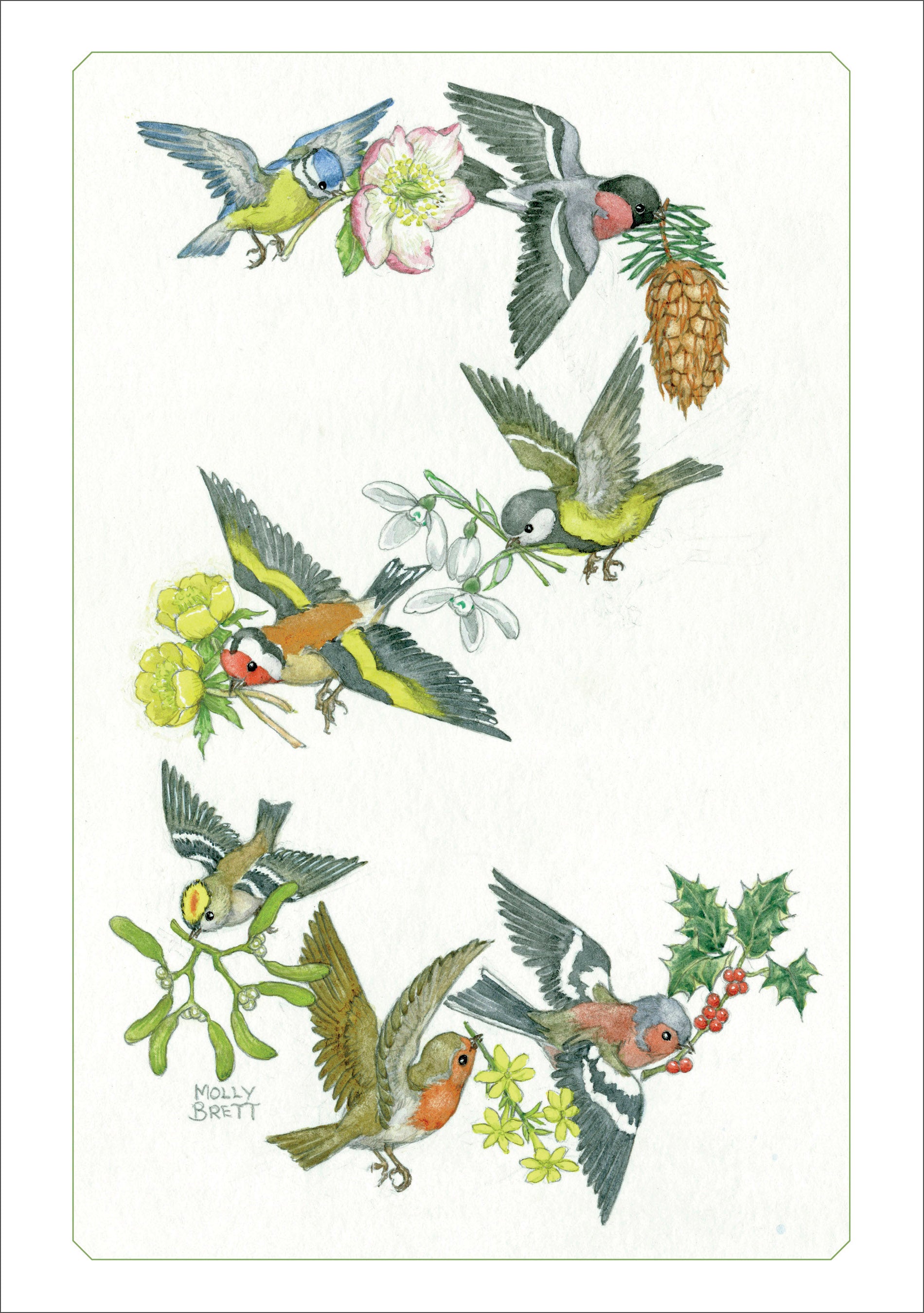 pomegranate-blank-notecards-brett-birds-klappkarte-einzeln image 1