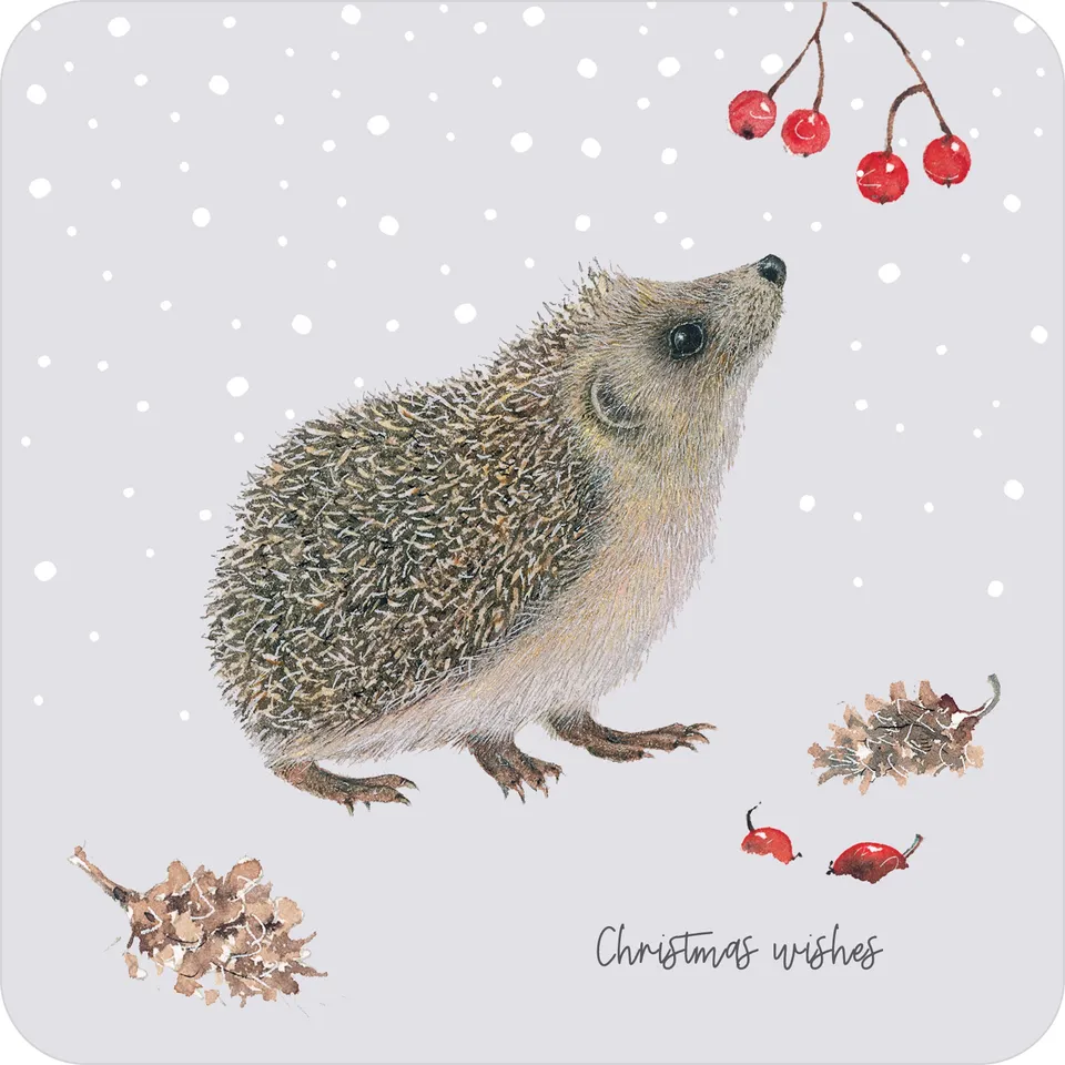 otter-house-snowflakes-berries-weihnachtskarten-10-st-ck-box image 1