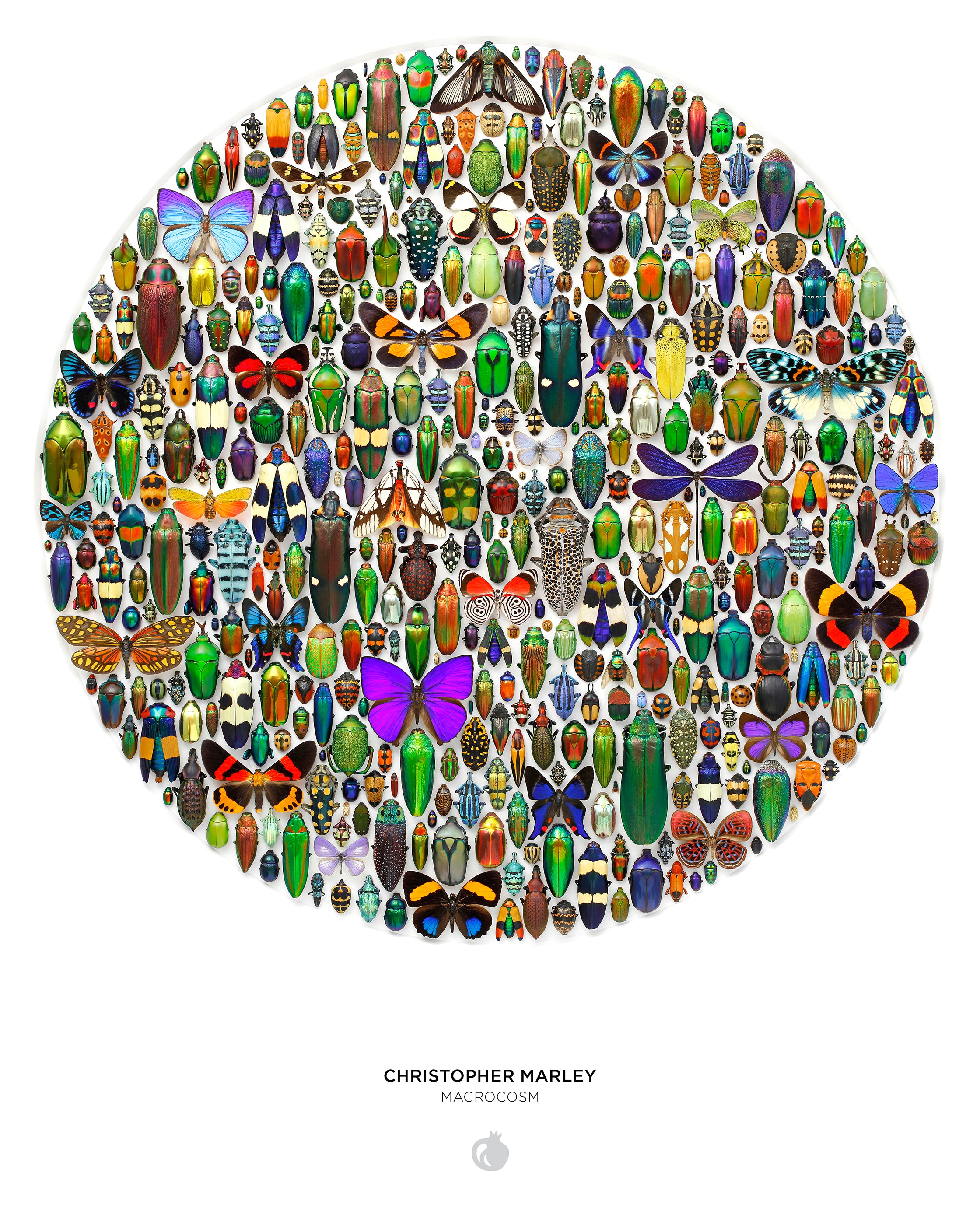pomegranate-christopher-marley-macrocosm-puzzle-500-teile-rund image 3