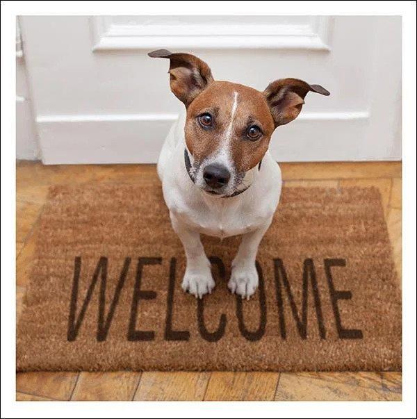 otter-house-snozzle-trauerkarte-door-mat-fussmatte-motiv image 1