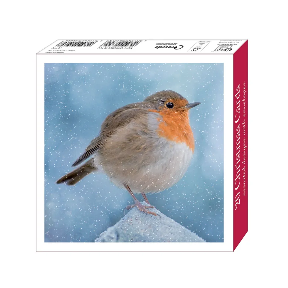 otter-house-christmas-merry-robins-weihnachtskarten-rotkehlchen image 1