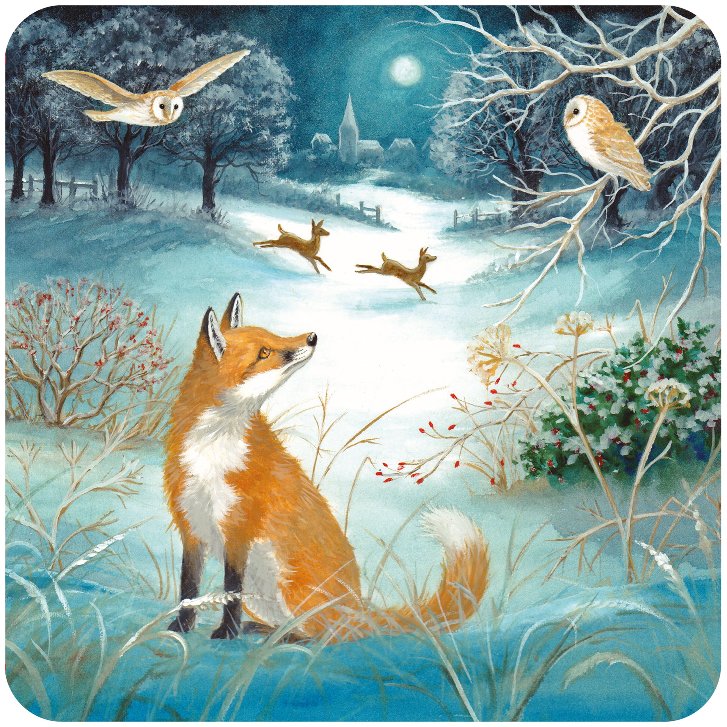 otter-house-rspb-moonlit-snow-fun-weihnachtskarten-10er image 2