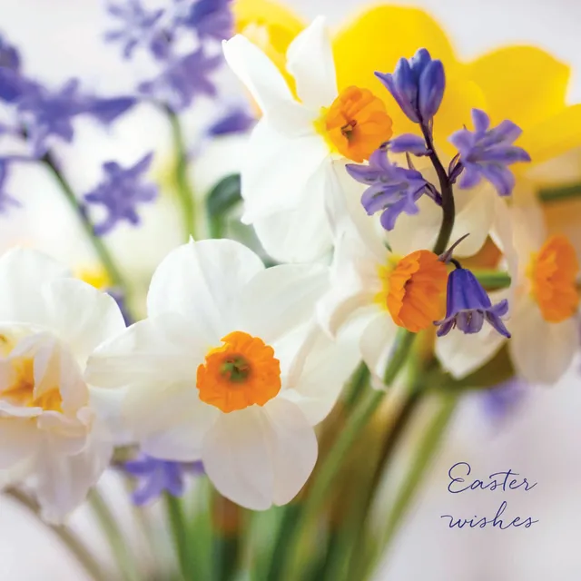 otter-house-greetings-cards-osterkarten-daffodil-florals-5er-pack image 1