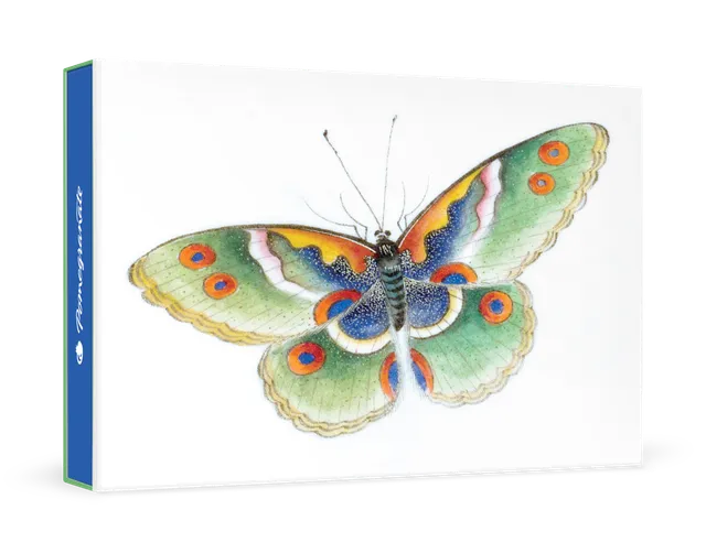 pomegranate-boxed-notecards-butterfly-schmetterling-karten-klein image 1