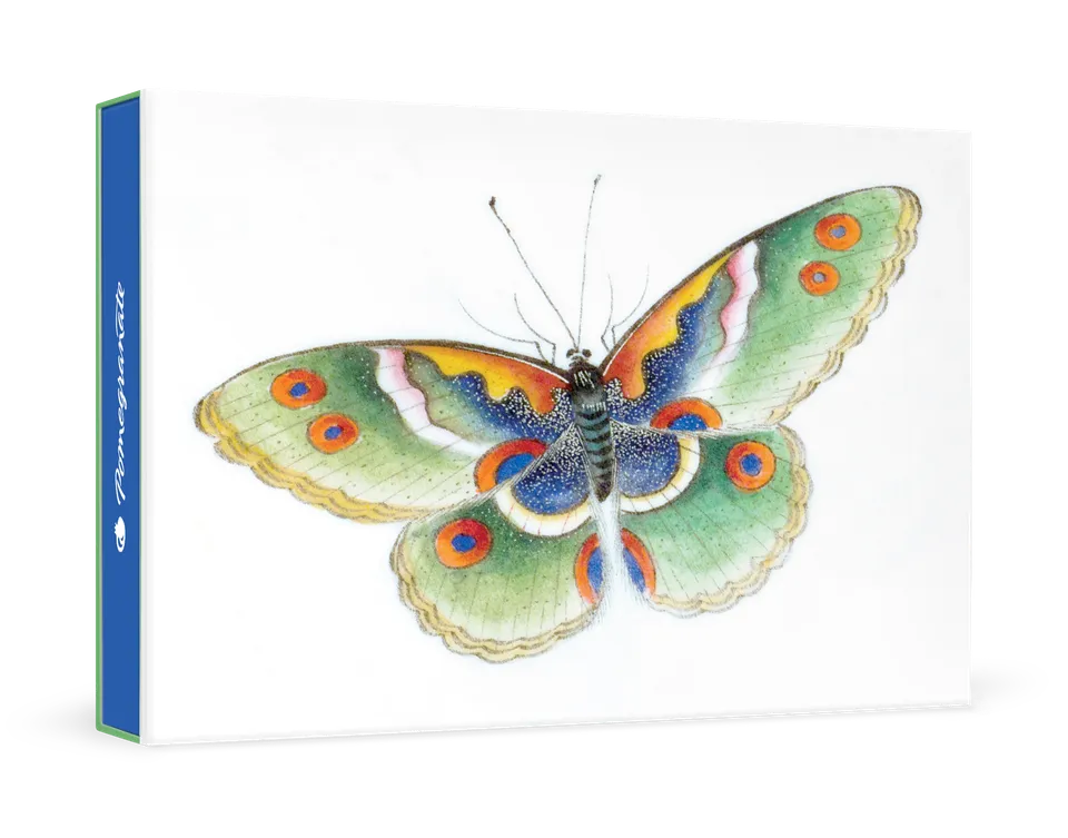 pomegranate-boxed-notecards-butterfly-schmetterling-karten-klein image 1