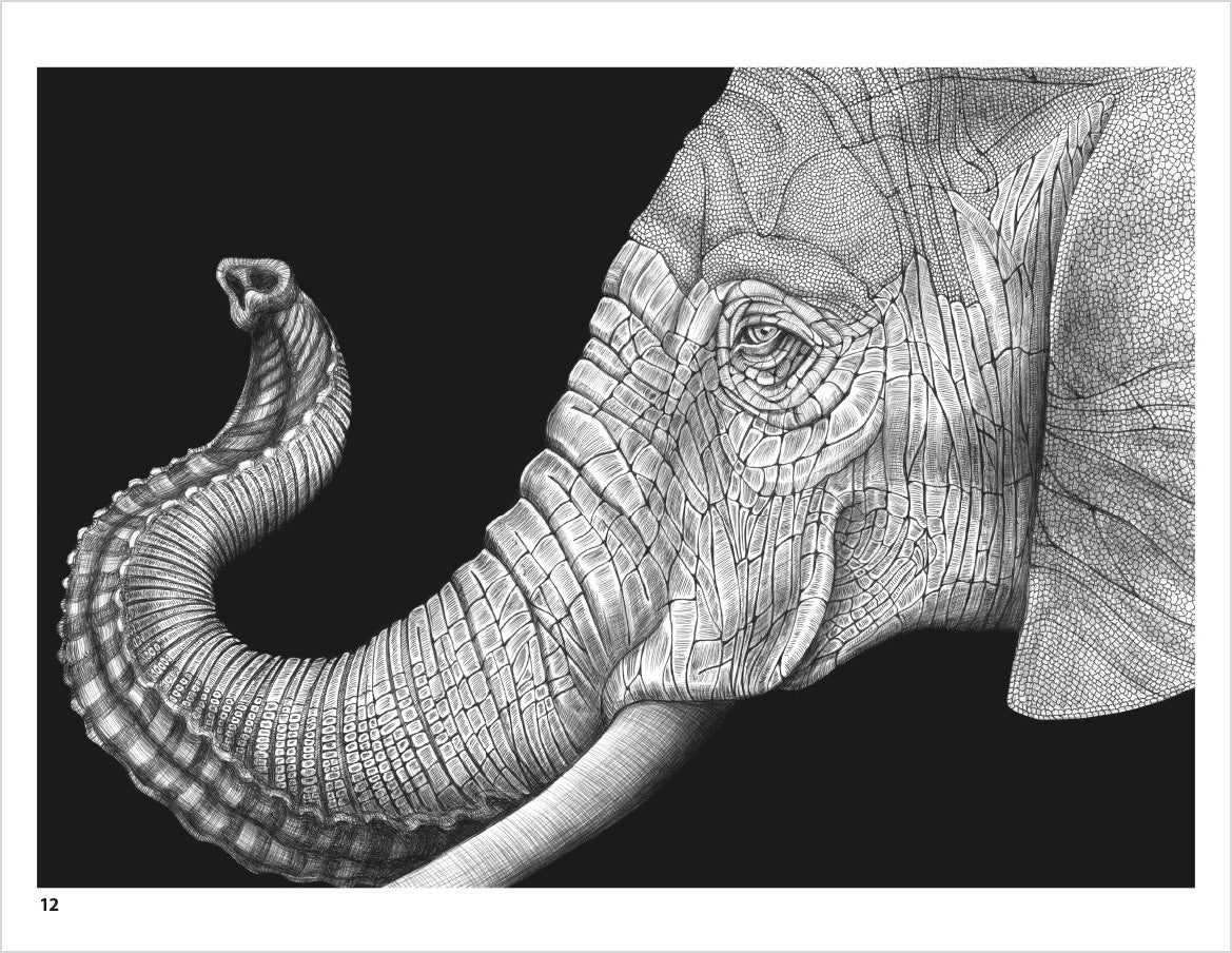 pomegranate-intricate-ink-animals-malbuch-erwachsene image 2