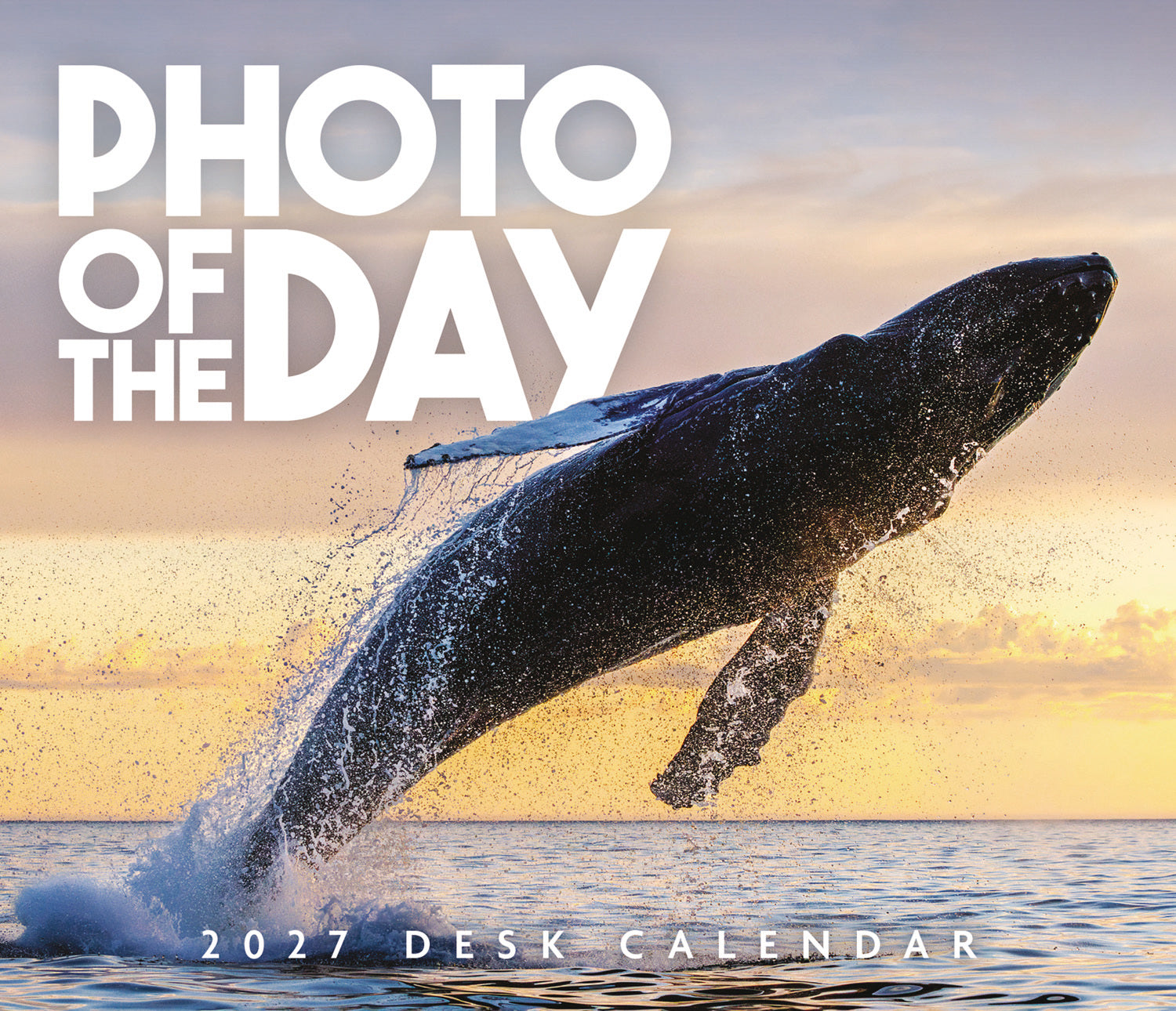otter-house-photo-of-the-day-boxkalender-2027-tischkalender image 1