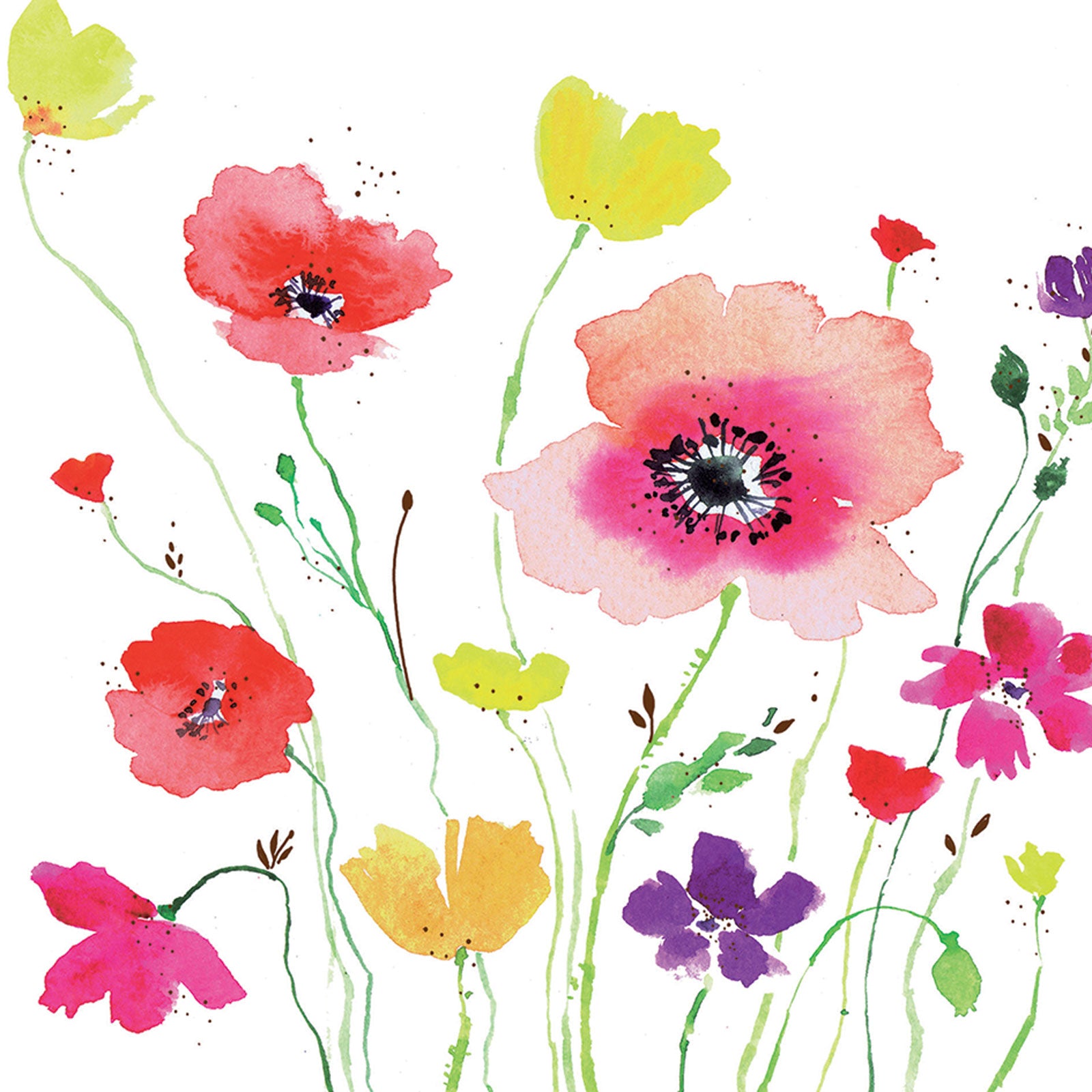 otter-house-quayside-gallery-karte-watercolour-blumenkarte image 1