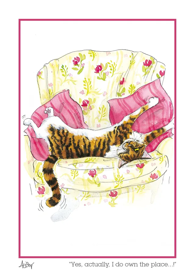 otter-house-alison-s-animals-own-the-place-katzen-gru-karte image 1