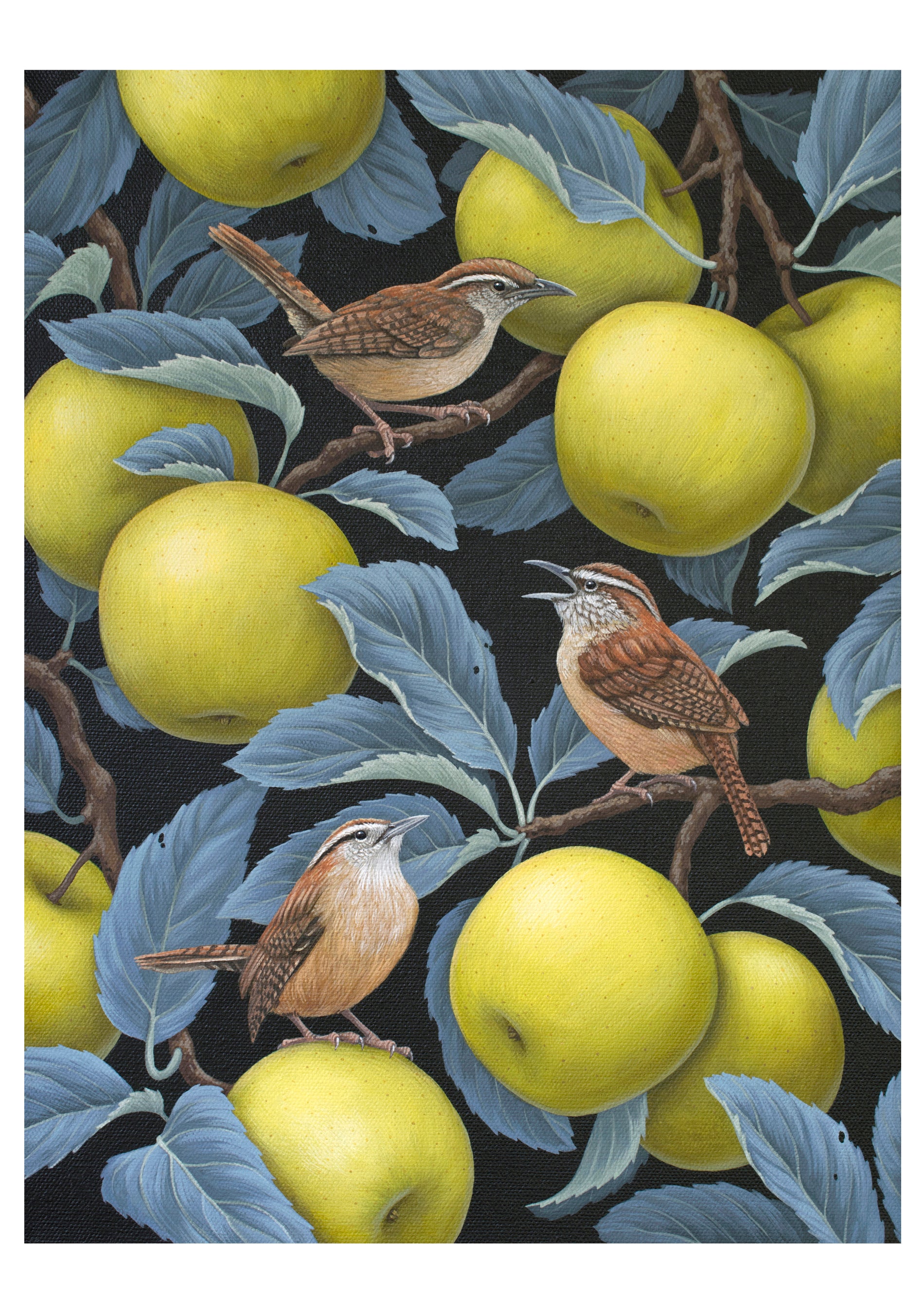 pomegranate-notecards-romanenko-birds-feather-karten-set-v-gel image 5
