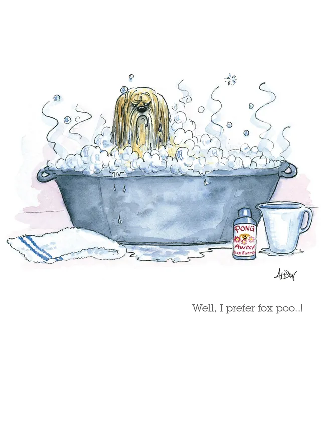 otter-house-alison-s-animals-grusskarte-i-prefer-fox-poo image 1