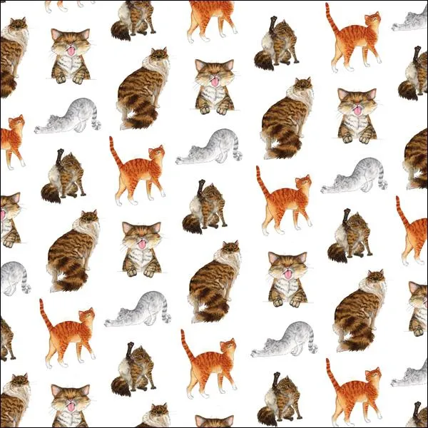 otter-house-gift-packaging-alisons-animals-geschenkpapier-katze image 1