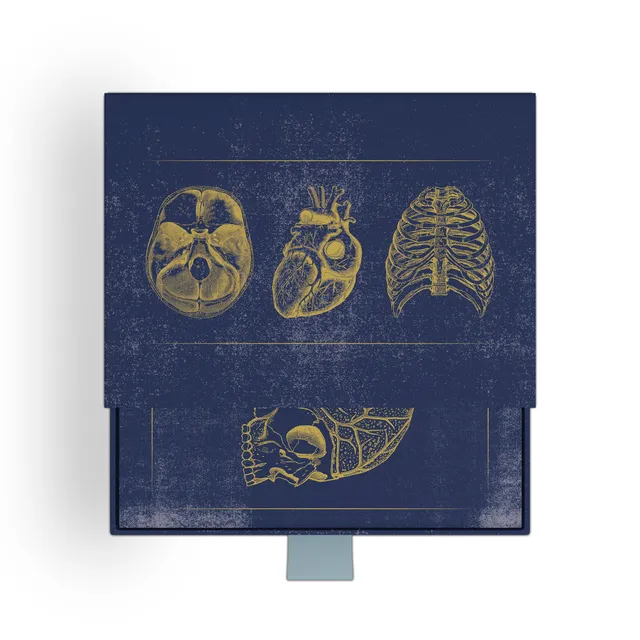 pomegranate-vintage-anatomy-kartenbox-anatomie-klappkarten image 1