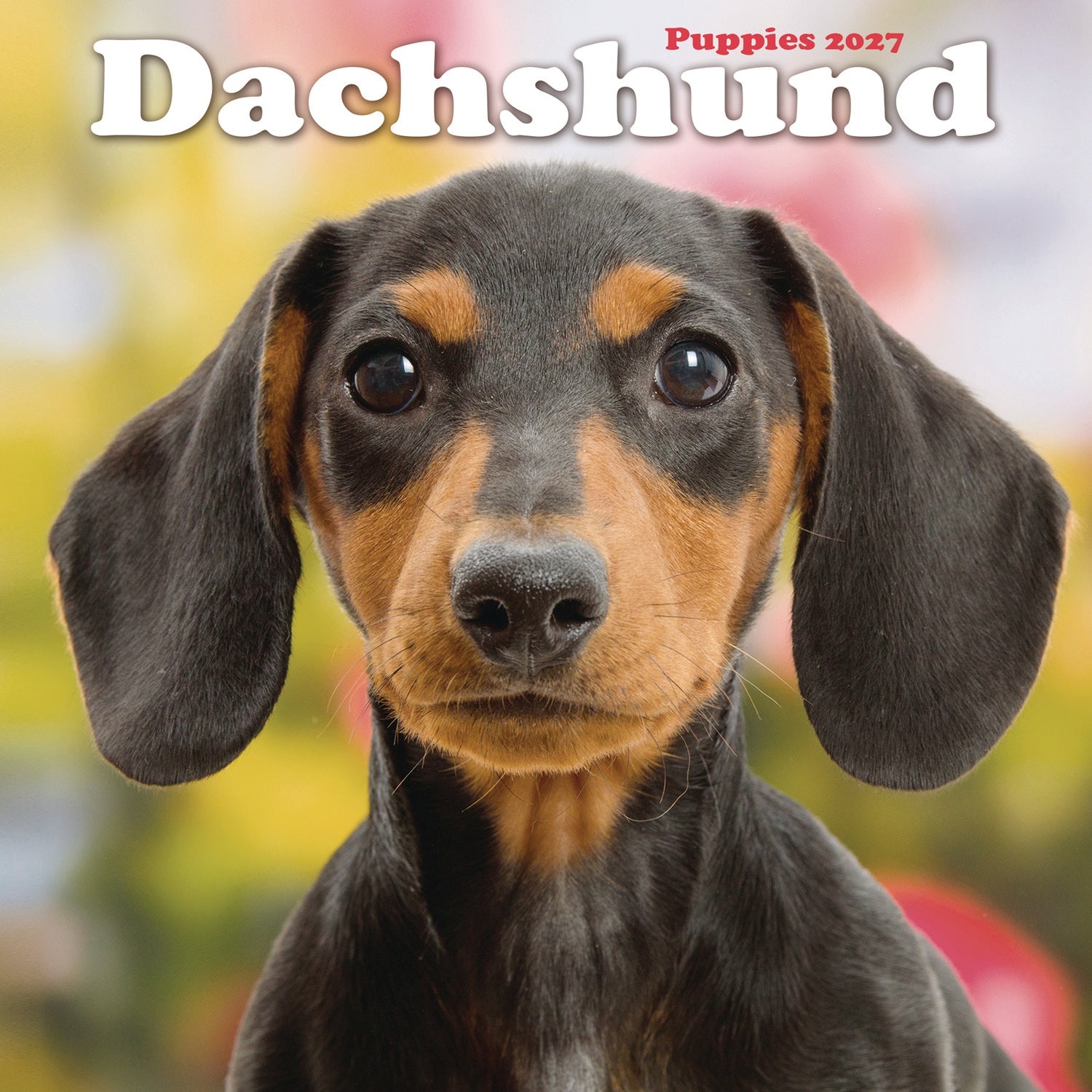 otter-house-dachshund-puppies-mini-wandkalender-2027-dackel image 1
