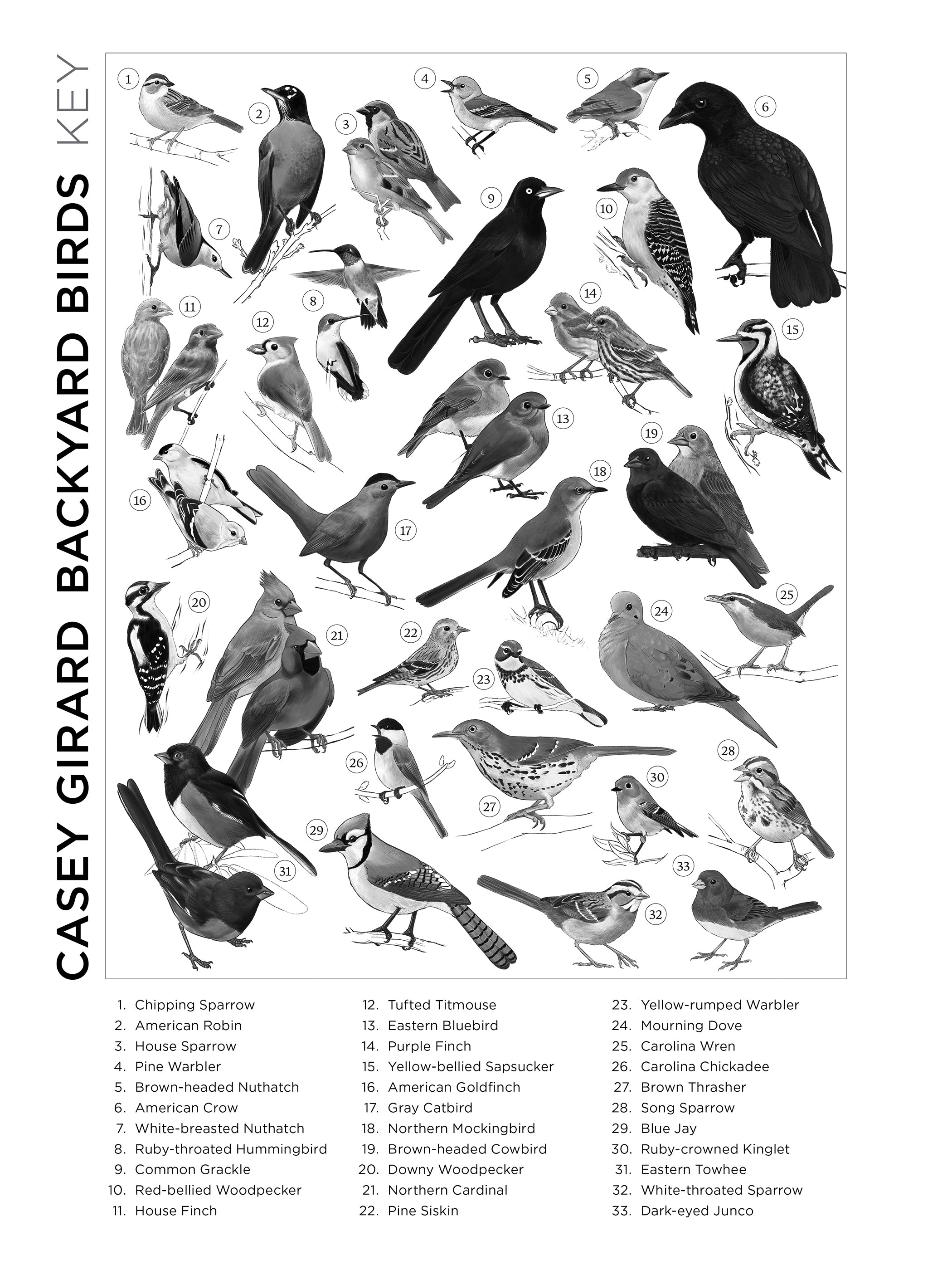 pomegranate-casey-girard-backyard-birds-puzzle-1000-teile-v-gel image 4