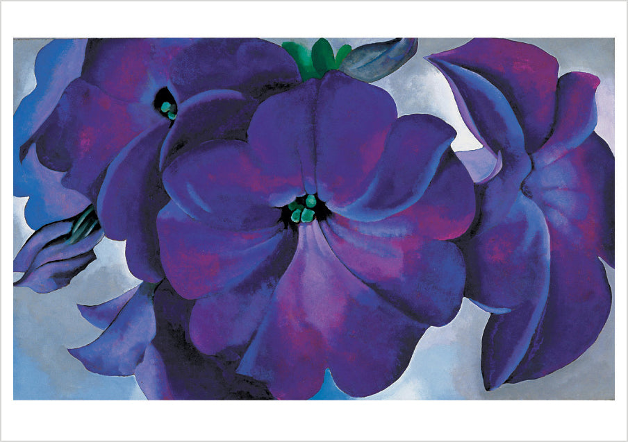 pomegranate-georgia-o-keeffe-petunias-gru-karten-10er-folio image 3