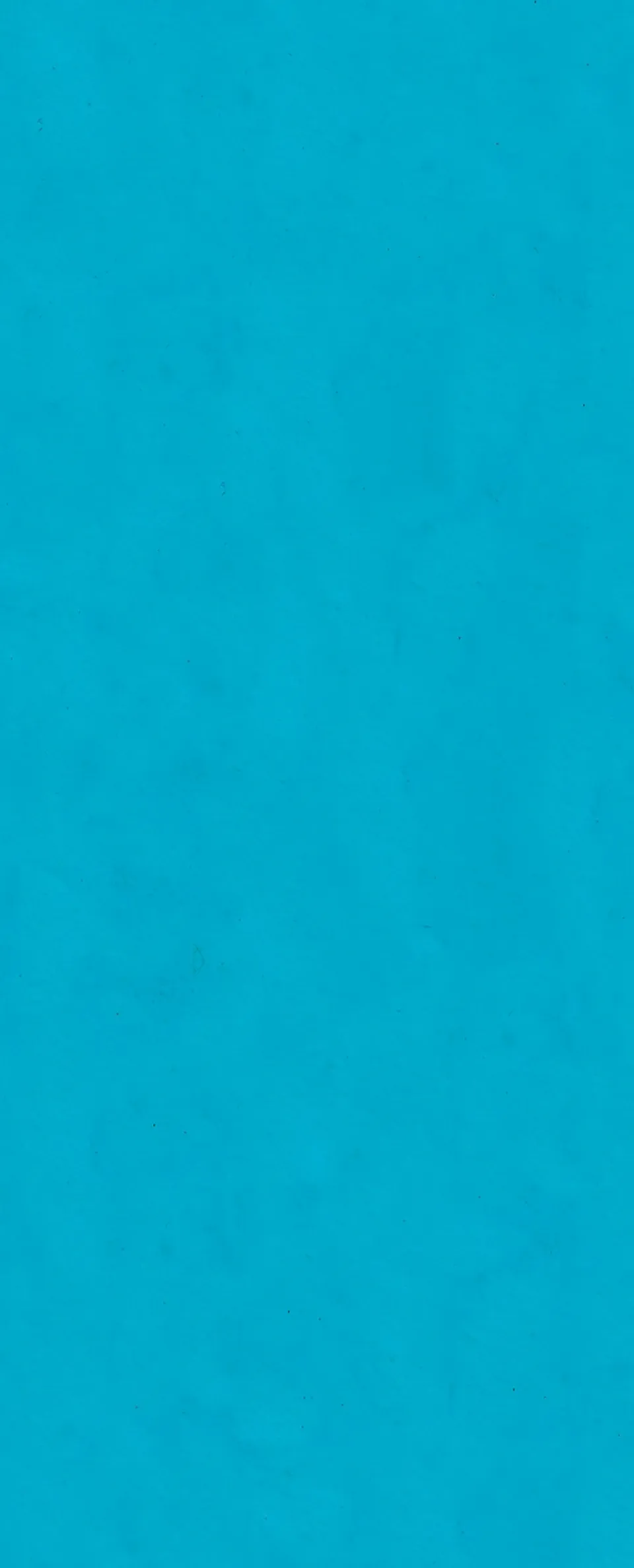 otter-house-tissue-pack-blue-seidenpapier-5-b-gen image 1