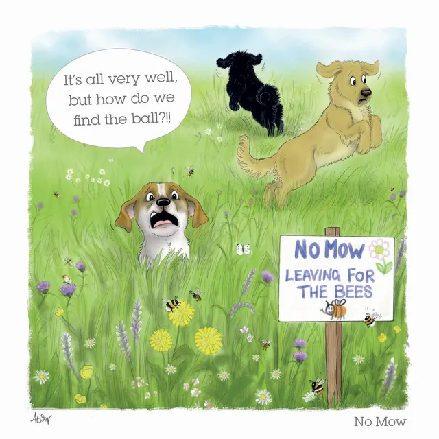otter-house-alison-s-animals-gru-karte-garden-antics-no-mow image 1