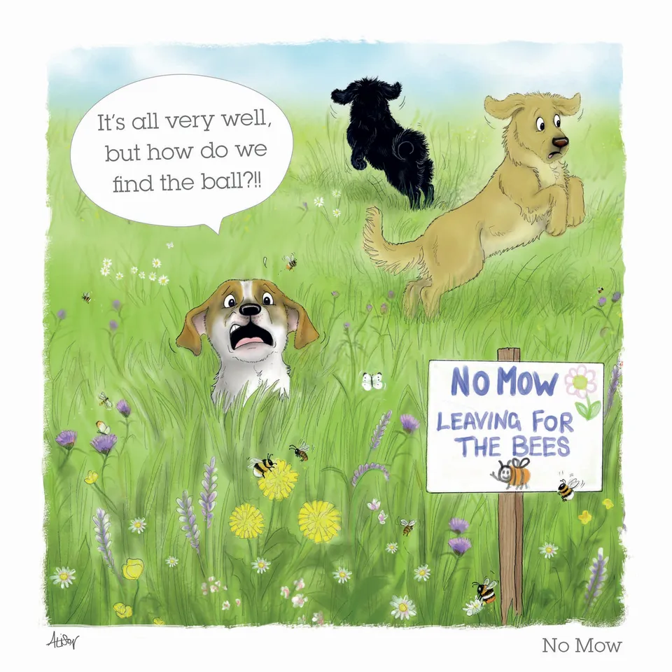 otter-house-alison-s-animals-gru-karte-garden-antics-no-mow image 1
