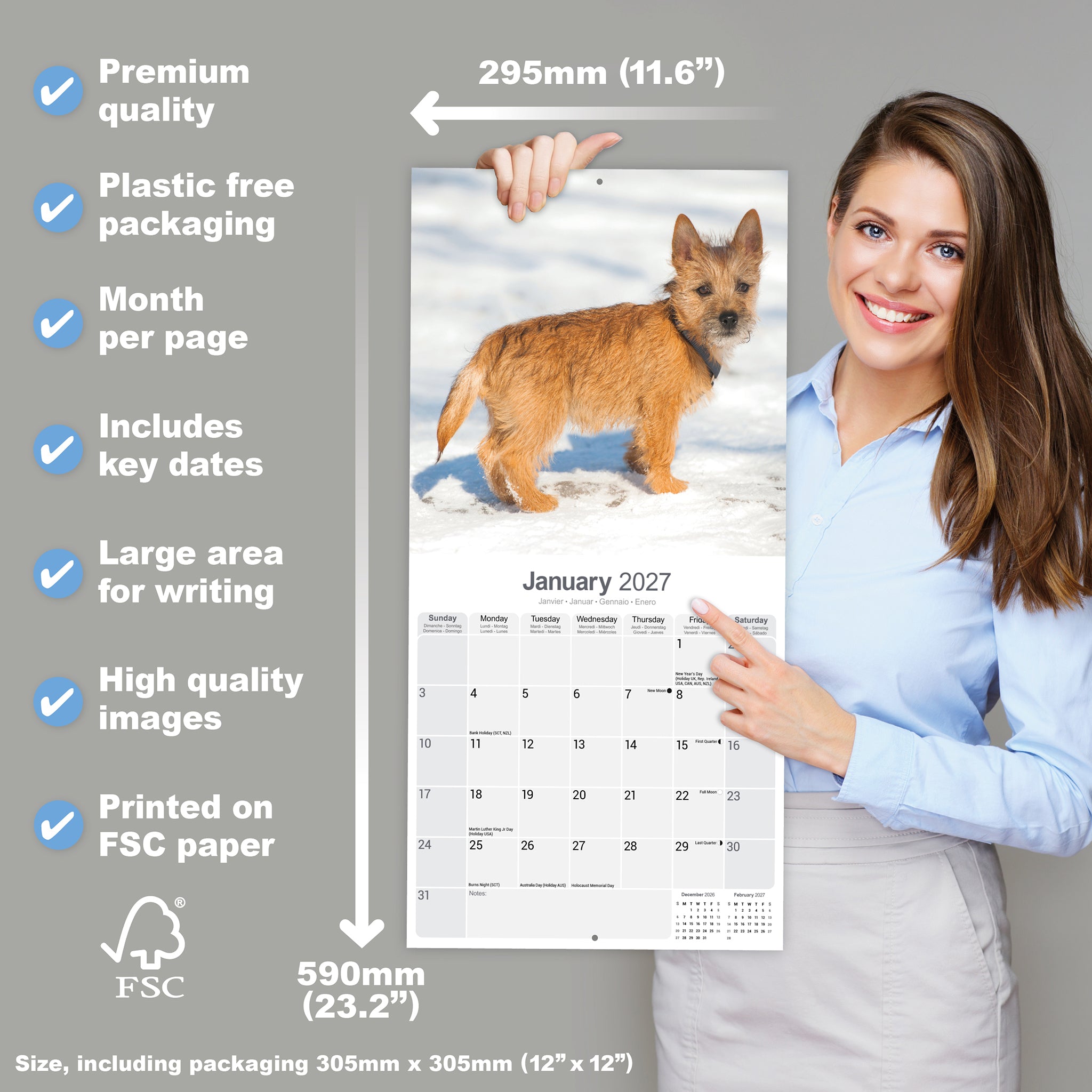 otter-house-cairn-terrier-wandkalender-2027-hunde image 4