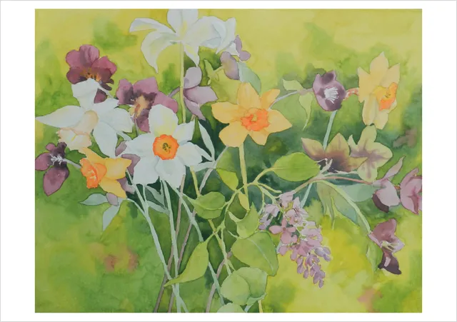 pomegranate-birthday-cards-molly-hashimoto-daffodils-geburtstagskarte-blumen image 1