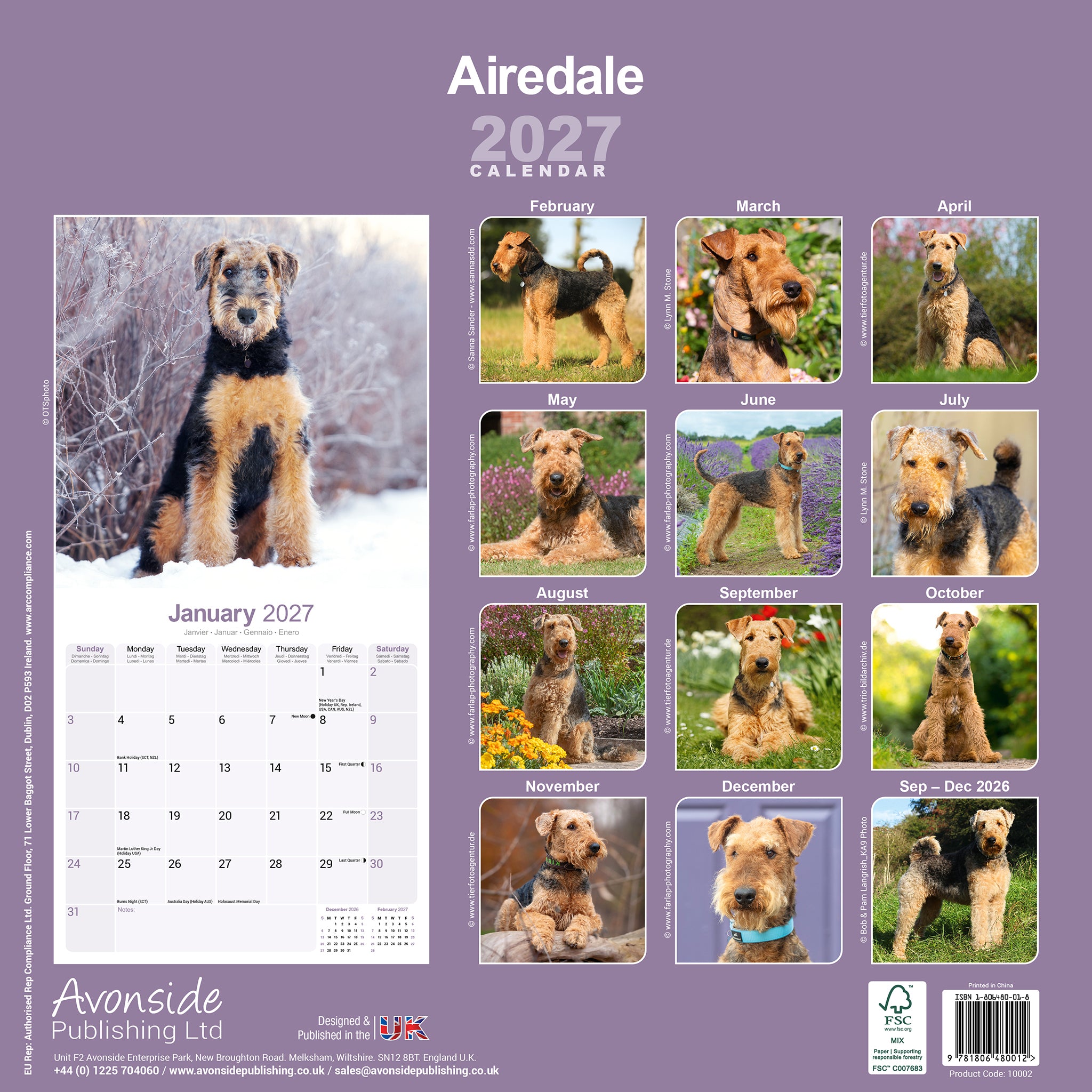 otter-house-airedale-terrier-wandkalender-2027-hundemotiv image 2
