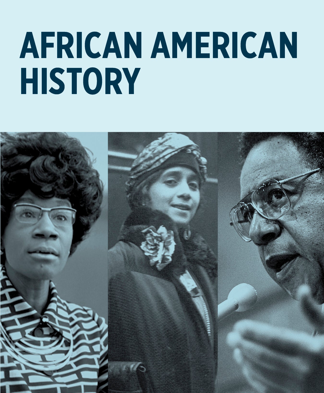 pomegranate-african-american-history-lernkarten-48-karten image 2