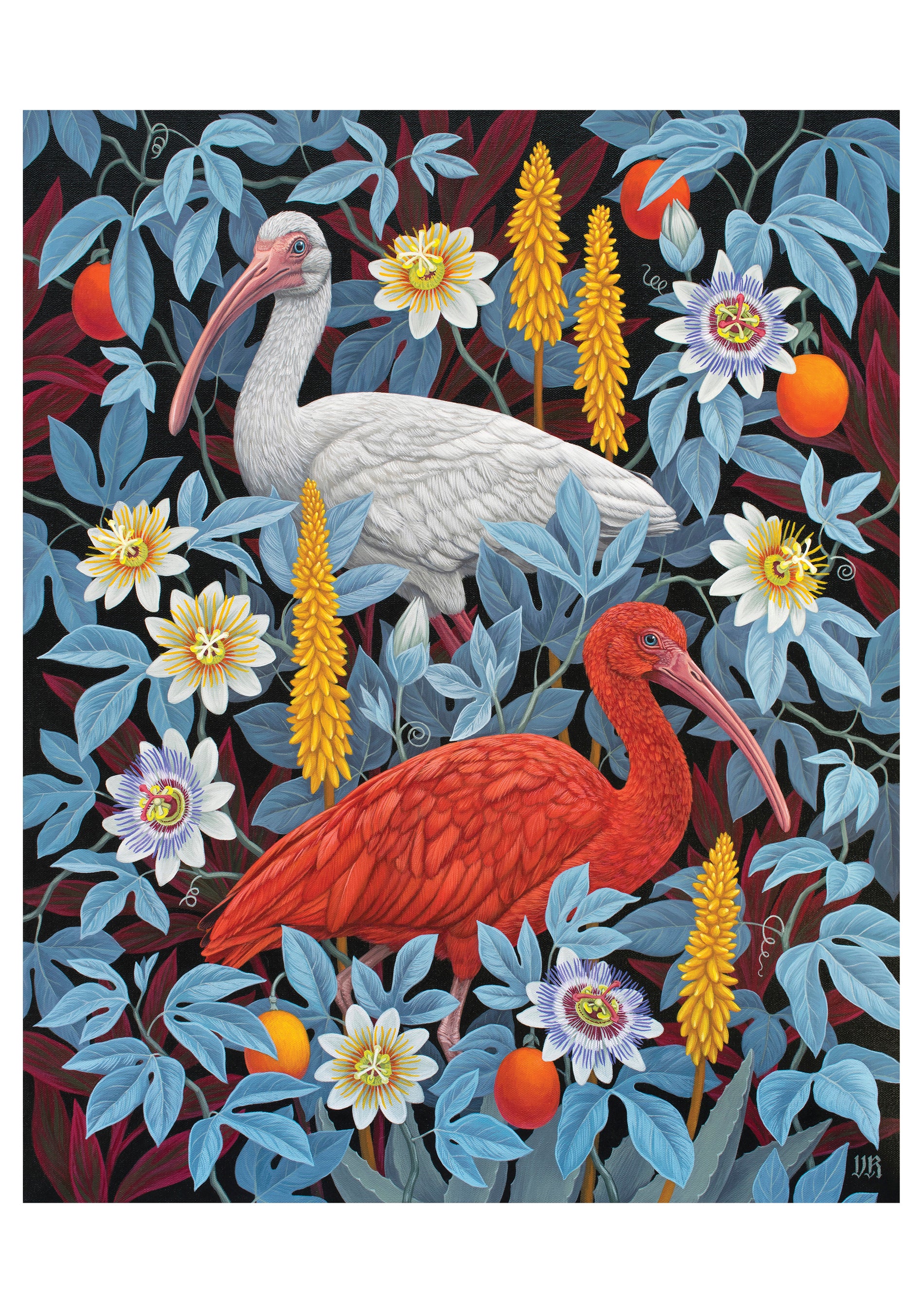 pomegranate-vasilisa-romanenko-ibises-blanko-karte-v-gel image 1
