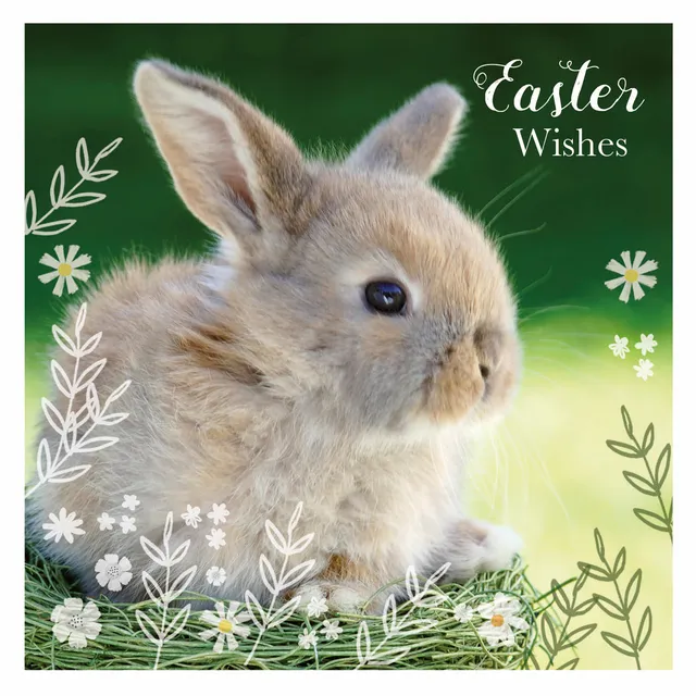 otter-house-bunny-floral-osterkarten-pack image 1