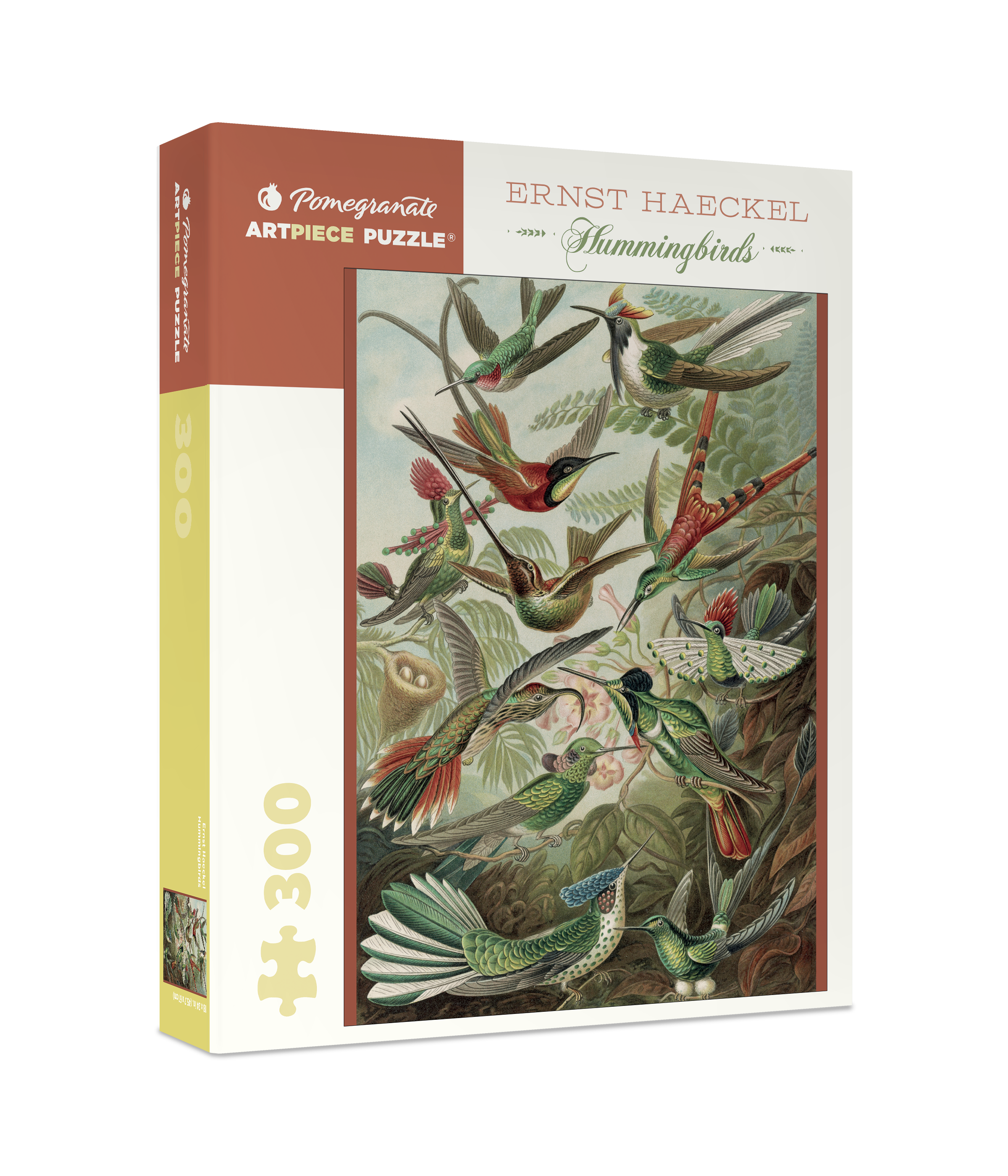 pomegranate-ernst-haeckel-kolibris-puzzle-300-teile-v-gel image 1