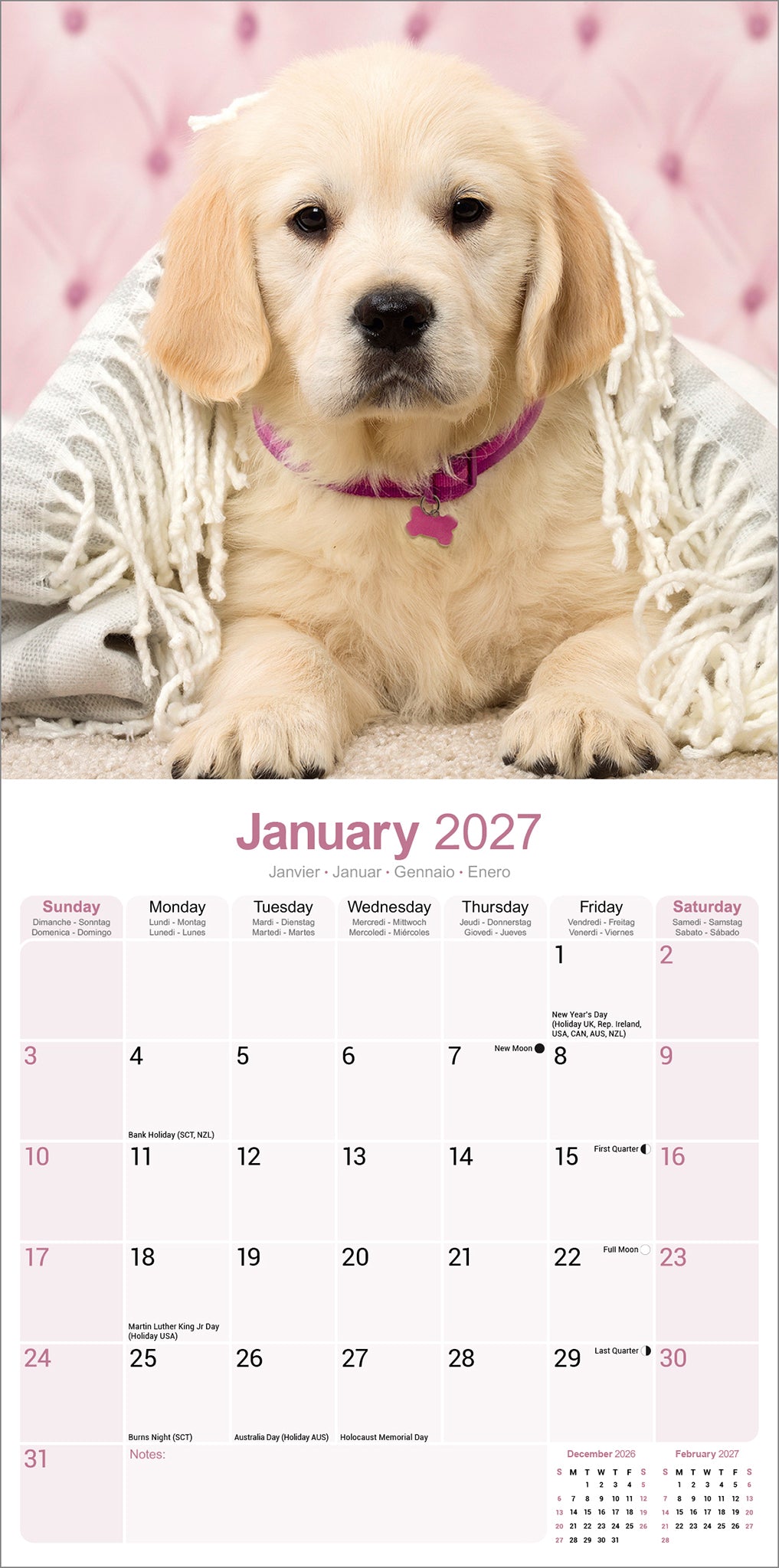 otter-house-golden-retriever-wandkalender-2027-hunde image 3