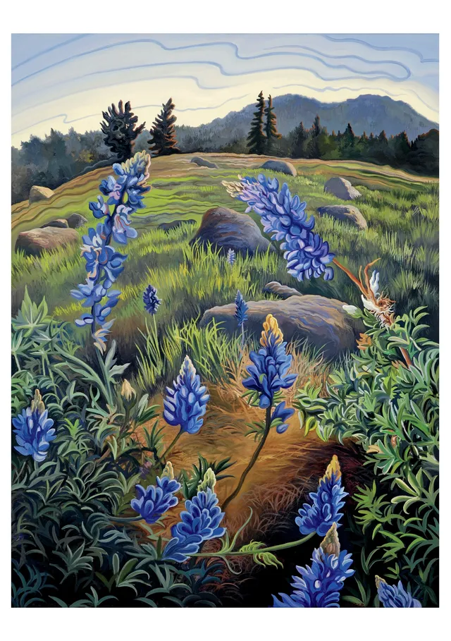 pomegranate-birthday-cards-phyllis-shafer-hope-s-lupine-karte image 1