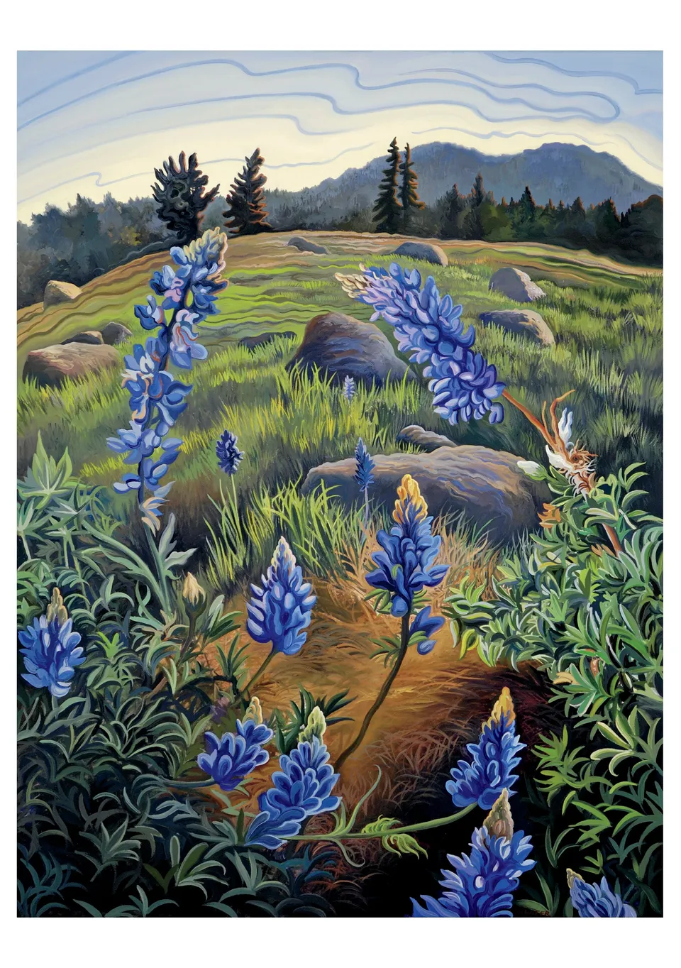 pomegranate-birthday-cards-phyllis-shafer-hope-s-lupine-karte image 1