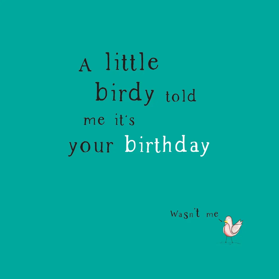 otter-house-alec-s-cards-little-birdy-vogel-gru-karte-lustig image 1