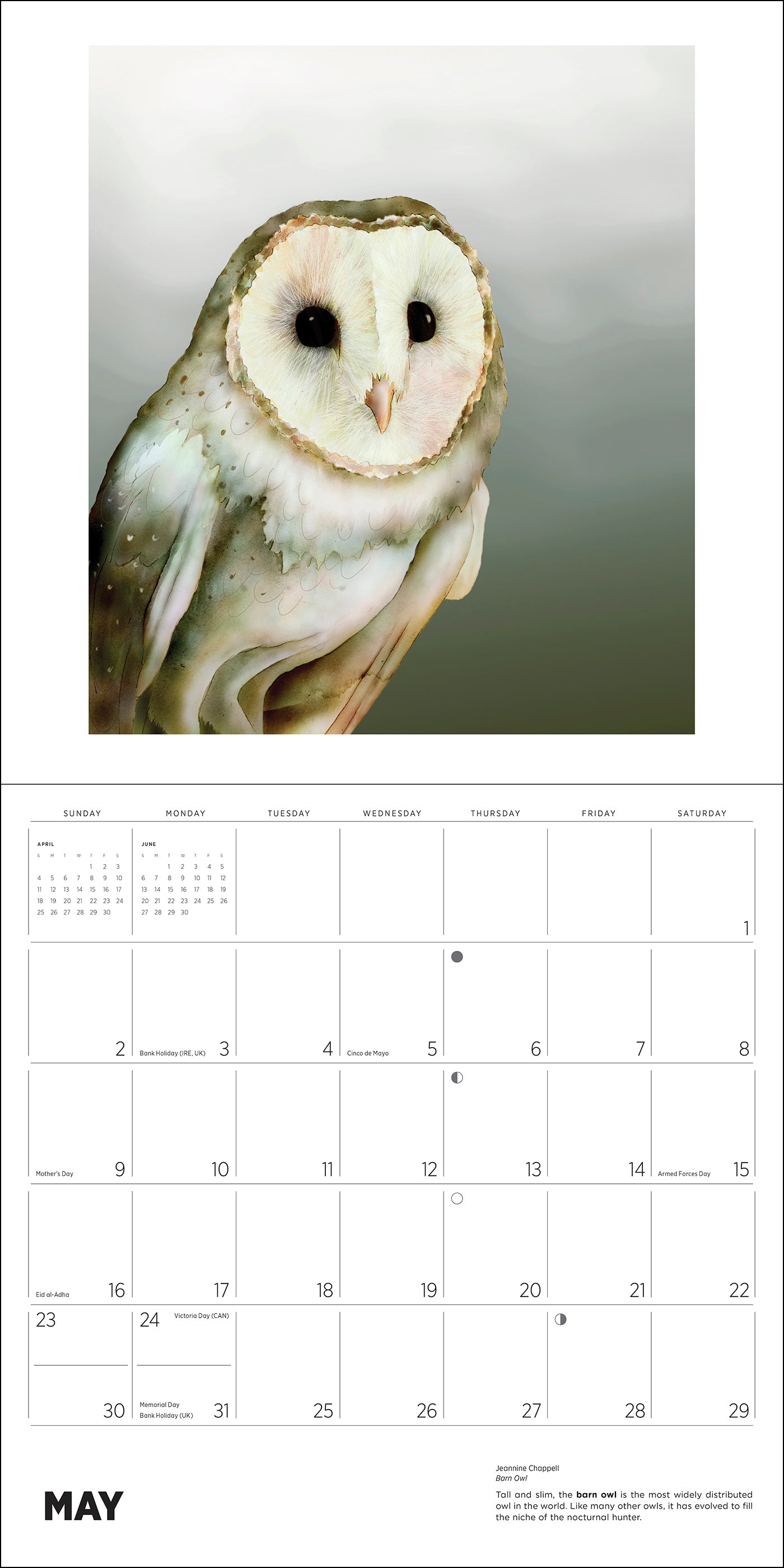 pomegranate-owls-chappell-2027-wandkalender-eulen image 6