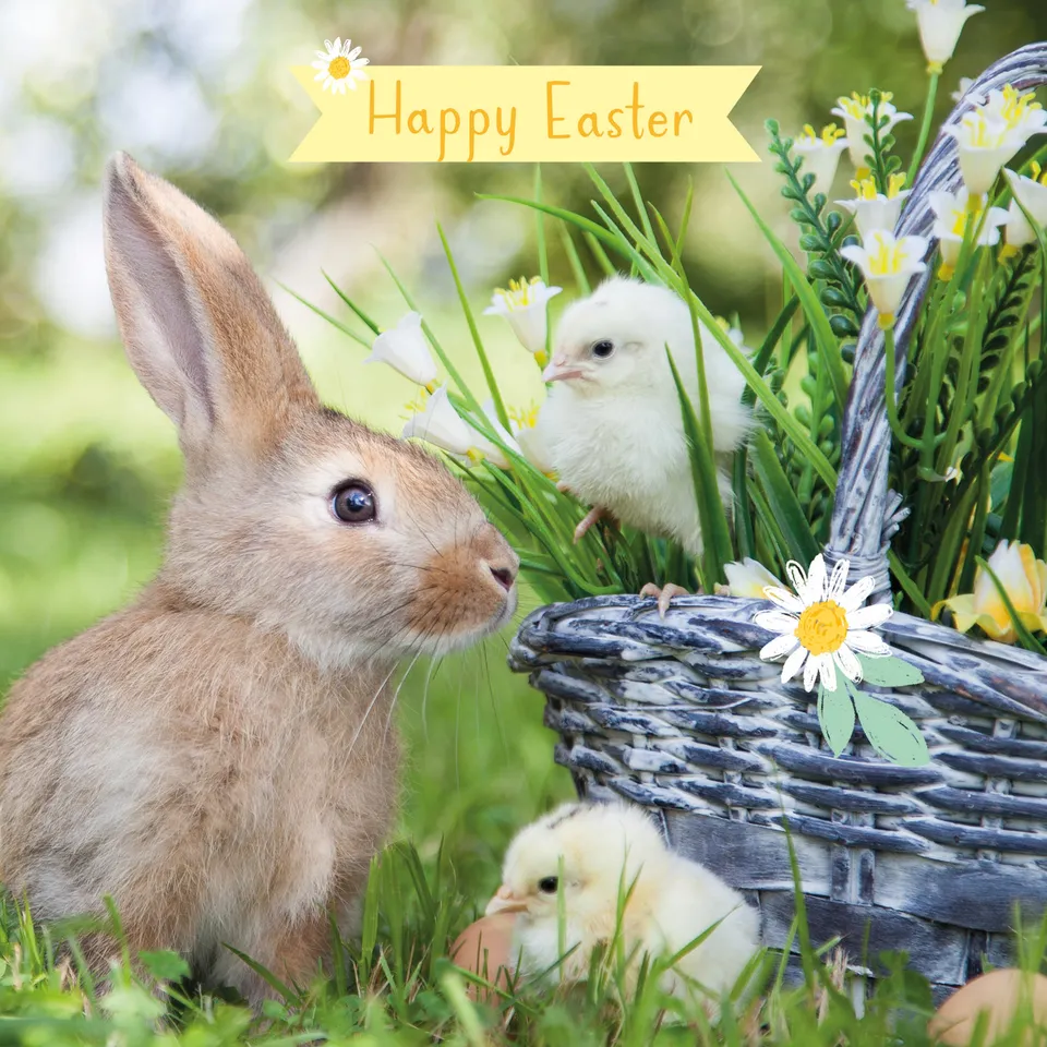 otter-house-bunny-friends-osterkarten-5er-set-ostern image 1