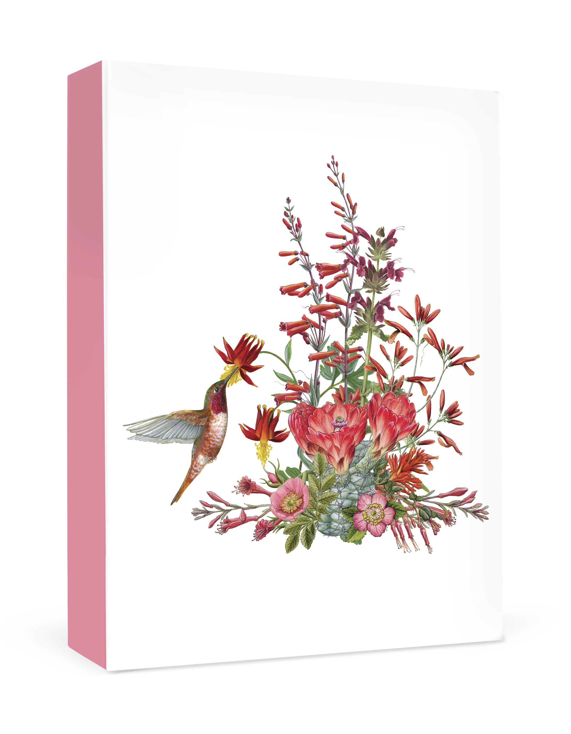 pomegranate-erin-hunter-california-wildflowers-karten-rot image 1