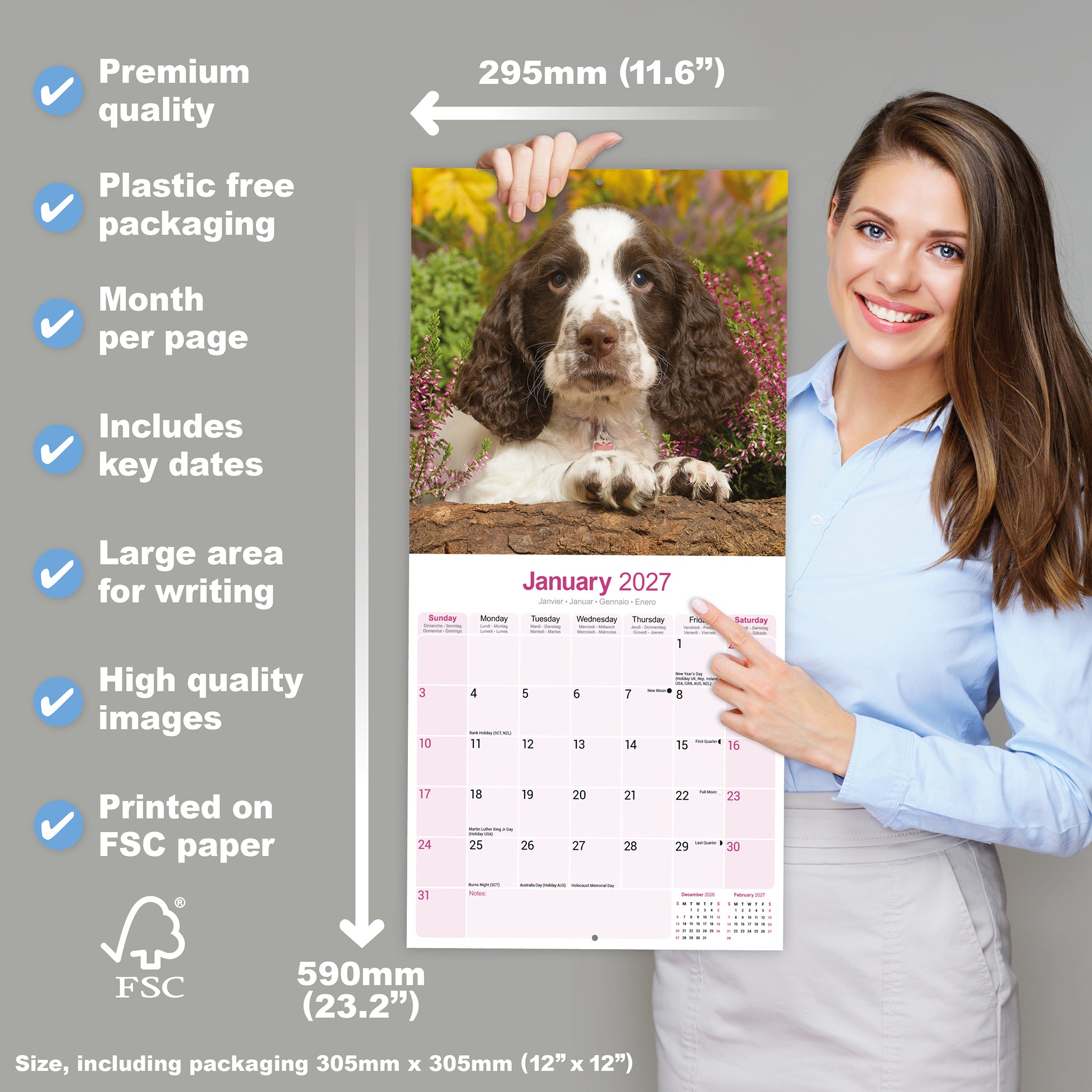 otter-house-english-springer-spaniel-wandkalender-2027 image 4