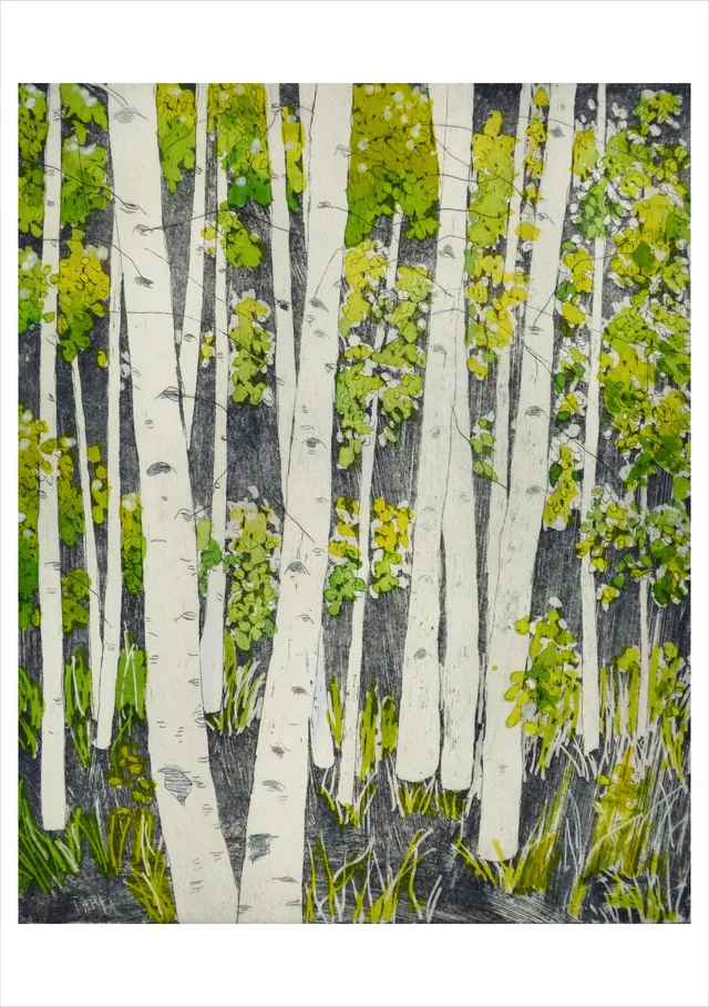 pomegranate-blank-notecards-aspens-springtime-klappkarte-landschaft image 1