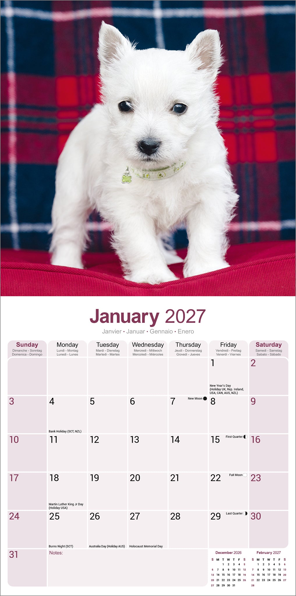 otter-house-west-highland-white-terrier-wandkalender-2027 image 3