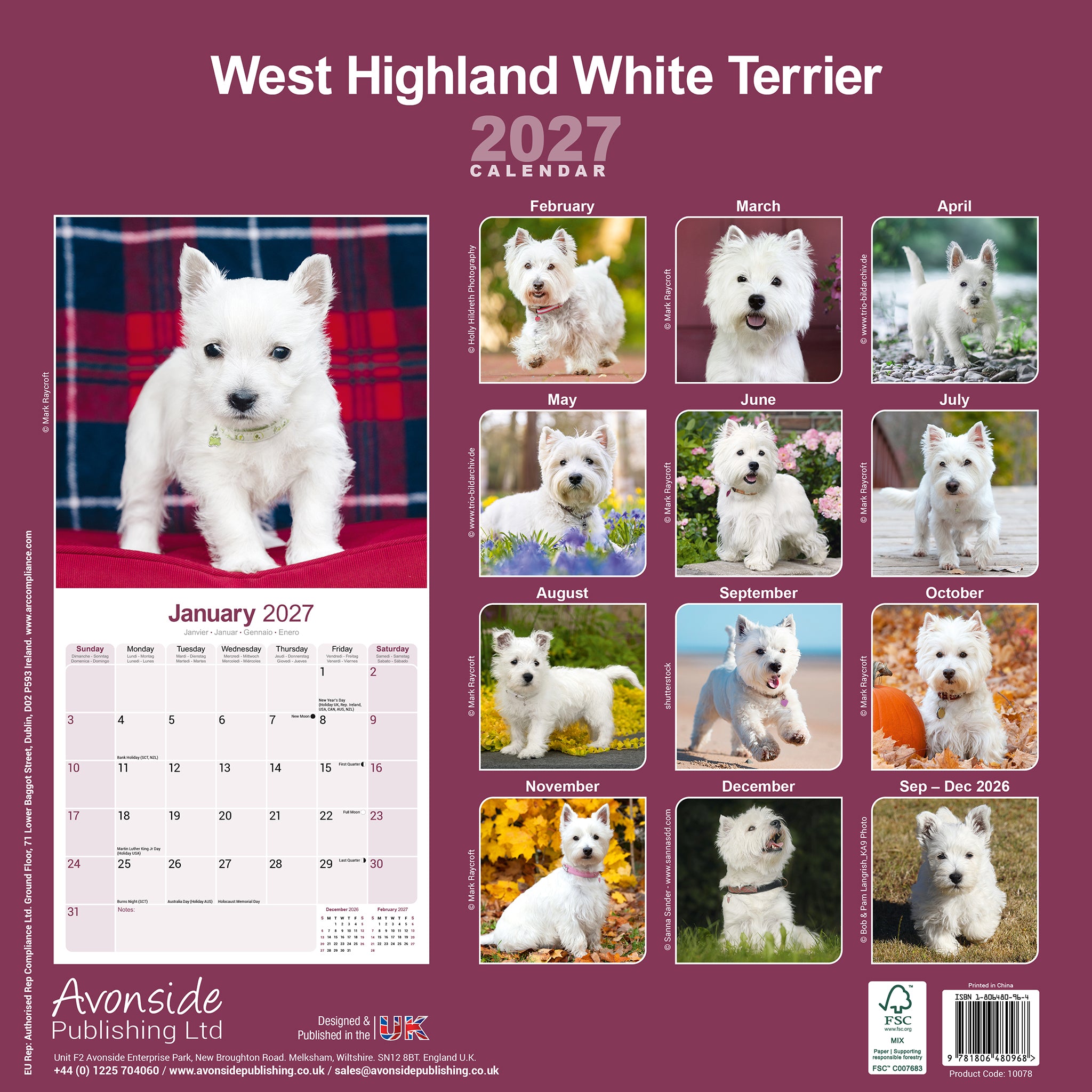 otter-house-west-highland-white-terrier-wandkalender-2027 image 2