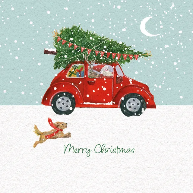 otter-house-christmas-taking-the-tree-home-weihnachtskarten-10er-pack-charity image 1